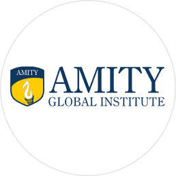 Amity Global Institute